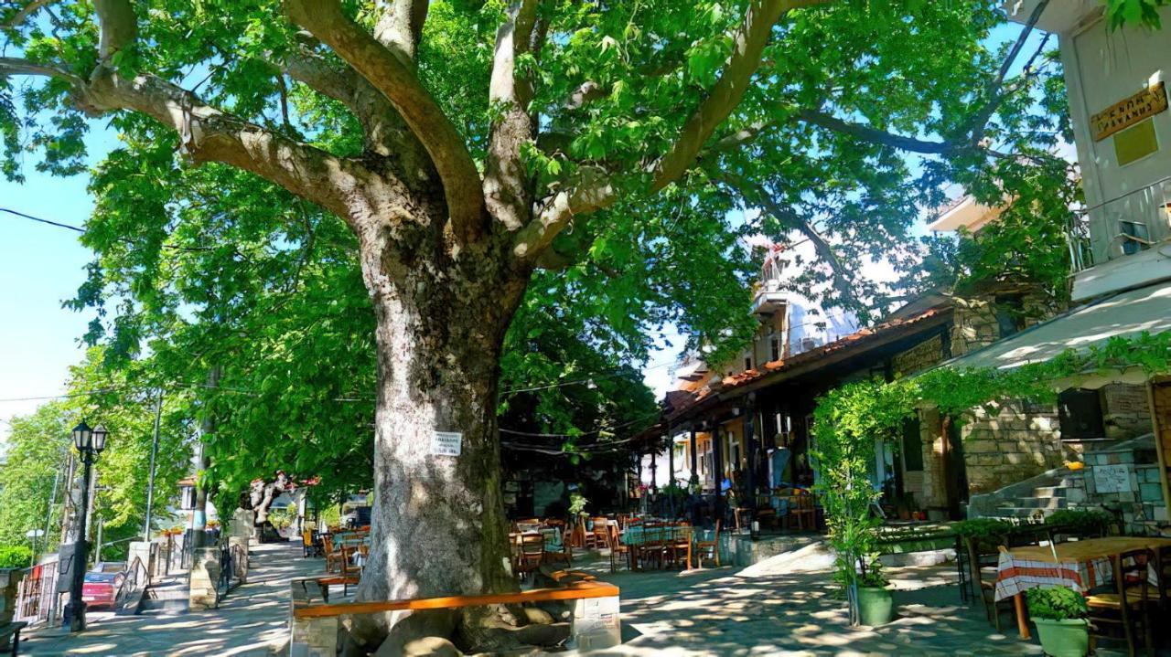 Rapsani Panorama Villa Luaran gambar