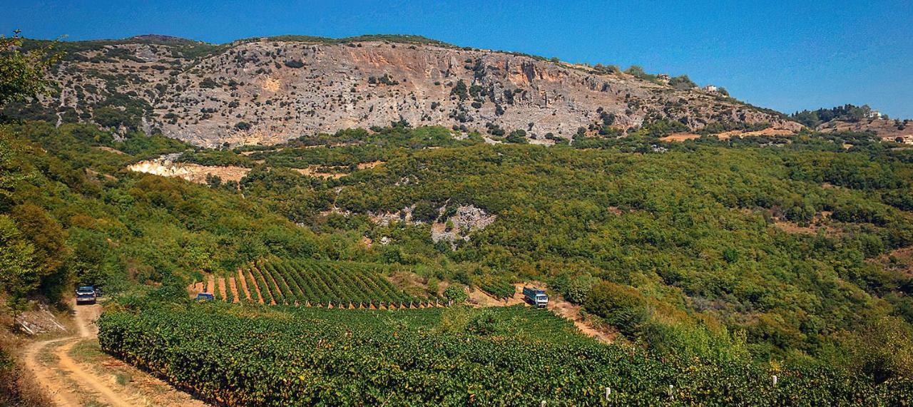 Rapsani Panorama Villa Luaran gambar